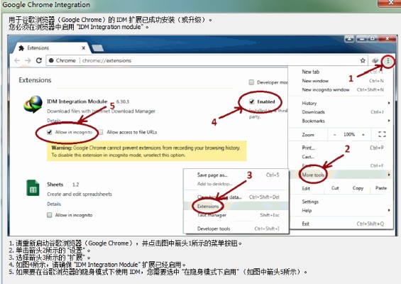 IDM插件版下載