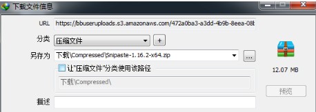 IDM插件版下載