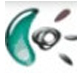 羅技 Logitech G29 方向盤游戲外設驅動程序 v8.85.85 官方最新版