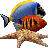 Marine Aquarium 3 v3.2綠色漢化版