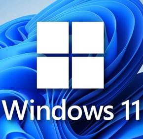 Windows11精簡版優化版 (22000.348)
