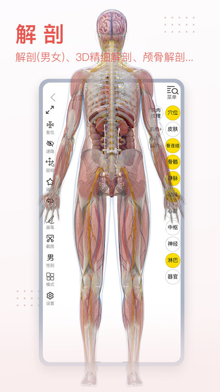 3dbody人體解剖學app免費版 3dbody解剖圖手機版下載