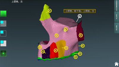 人體解剖學圖集3D