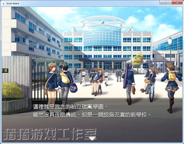 真實之淚