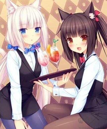 環世界B18孵化新品種貓娘MOD