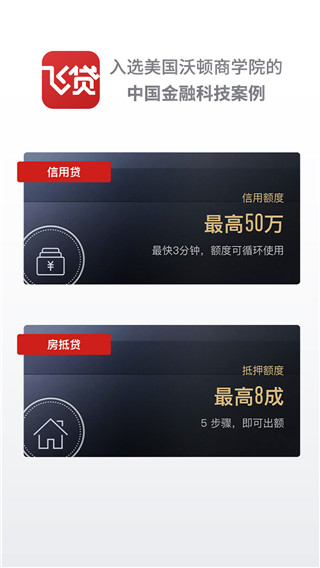 飛貸(小額貸款)