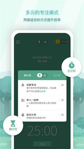 Forest專注森林