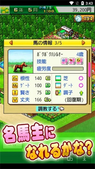 頂級跑馬牧場中文版
