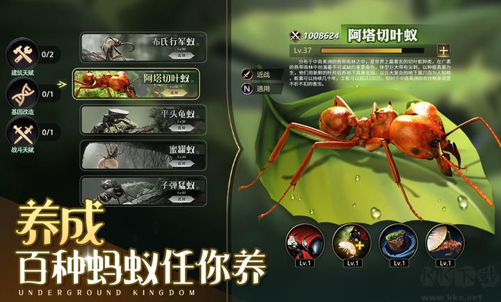 小小蟻國無限資源內購破解版
