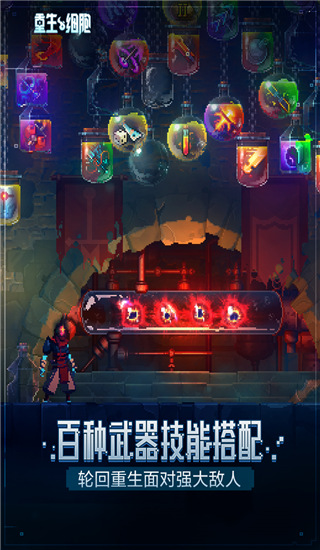重生細(xì)胞(死亡細(xì)胞)
