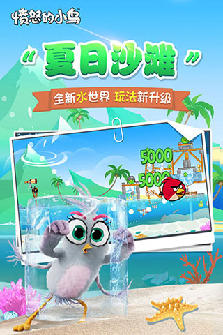 憤怒的小鳥(niǎo)原版