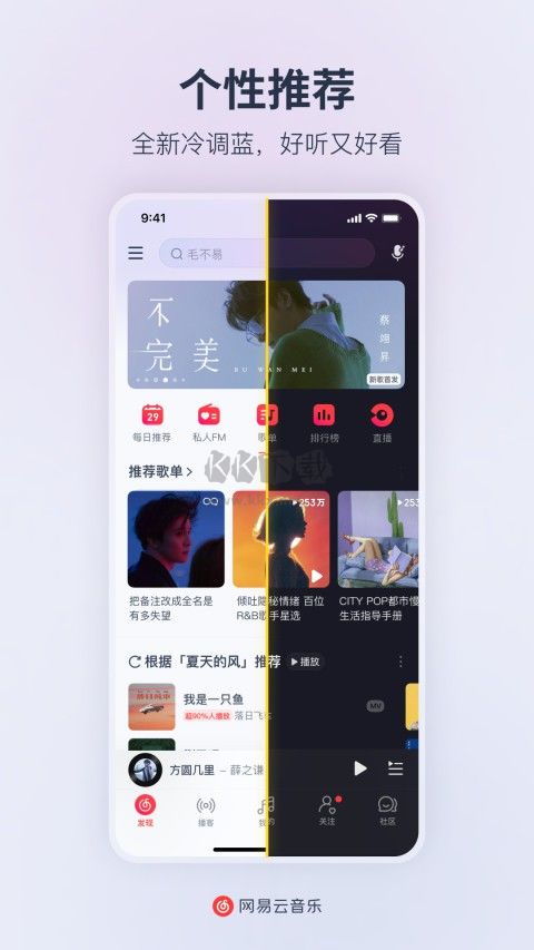 網易云音樂定制版本破解黑膠會員