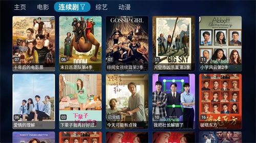 TVBox電視盒子2024最新內置接口版