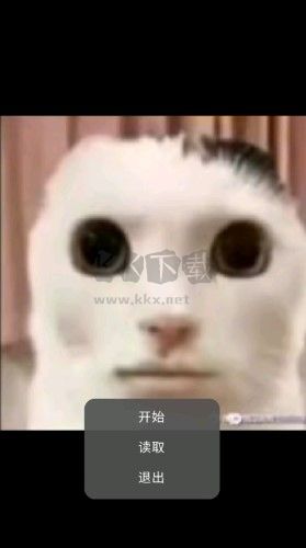 貓貓驚魂