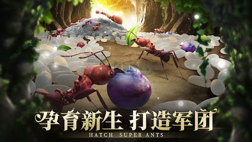 小小蟻國(guó)破解版無(wú)限鉆石版