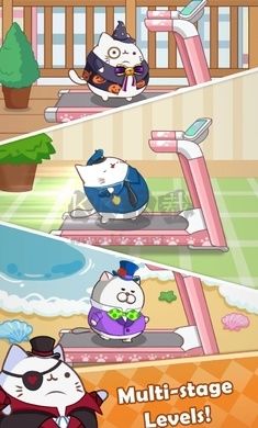 奔跑小貓2024最新版