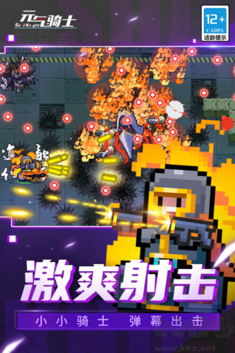 元?dú)怛T士無敵破解版