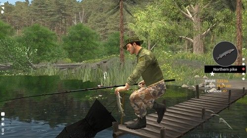 專業釣魚2無限金幣版