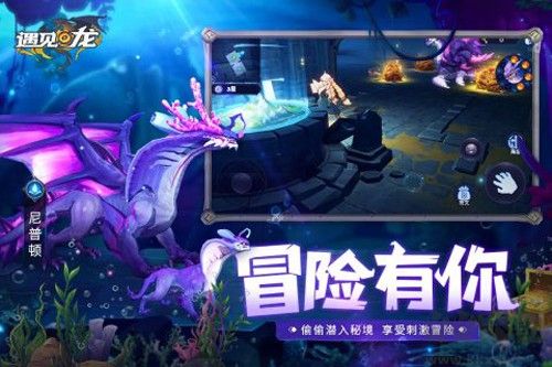 遇見龍官方版