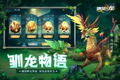 遇見龍官方版