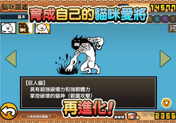 貓咪大戰(zhàn)爭