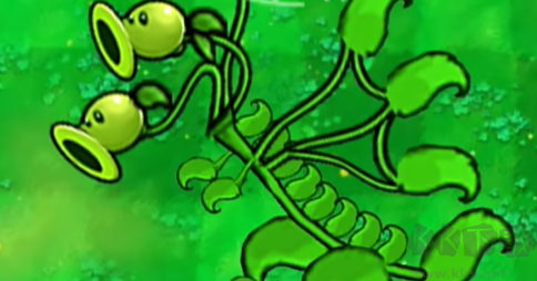 植物大戰僵尸嫁接版