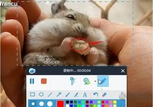 屏幕錄像王電腦版