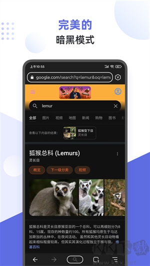 狐猴瀏覽器app手機版