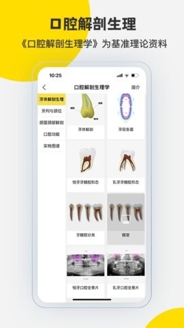 3Dbody解剖(醫(yī)學(xué)平臺應(yīng)用)