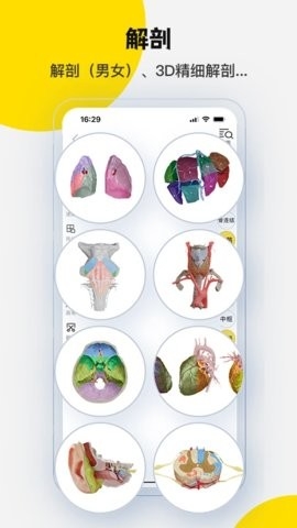 3Dbody解剖(醫(yī)學(xué)平臺應(yīng)用)