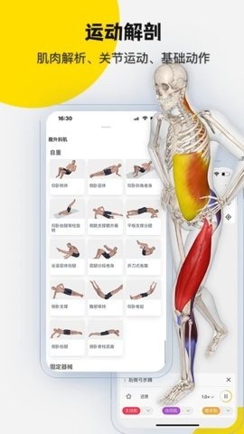 3Dbody解剖(醫(yī)學(xué)平臺應(yīng)用)