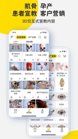 3Dbody解剖(醫(yī)學(xué)平臺應(yīng)用)
