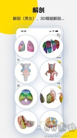 3Dbody解剖(醫(yī)學(xué)平臺應(yīng)用)