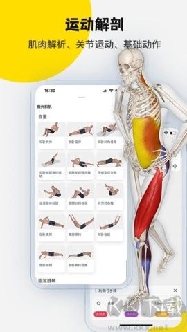3Dbody解剖(醫(yī)學(xué)平臺應(yīng)用)