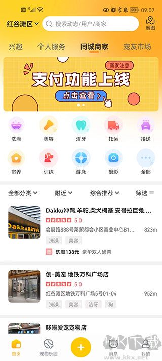 寵胖胖安卓版