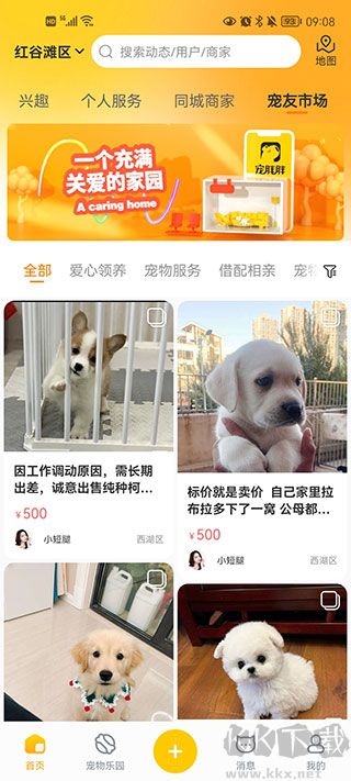 寵胖胖安卓版