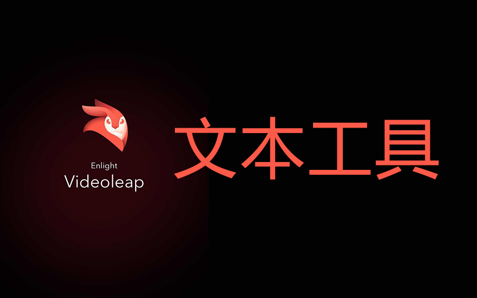 videoleap熱門版本推薦-videoleap實用版本集合-videoleap最新版/安卓版/綠色版/專業版