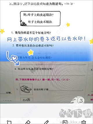 蜜蜂試卷