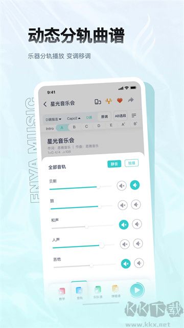 恩雅音樂正版