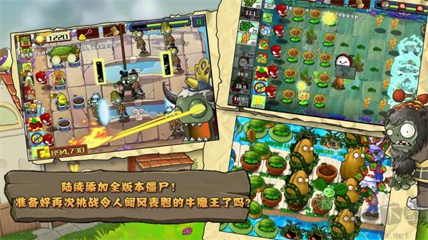植物大戰(zhàn)僵尸精華版