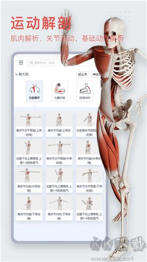 3dbody解剖app最新版