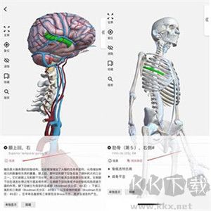 3dbody解剖app最新版