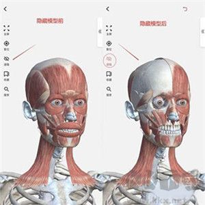 3dbody解剖app最新版
