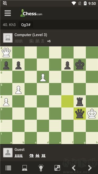 國際象棋大師