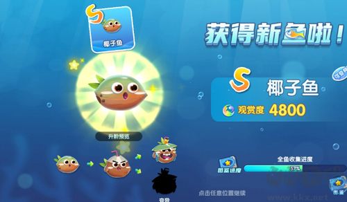 萌魚泡泡最新版