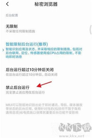 秘密瀏覽官網版