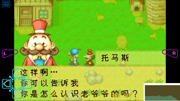 牧場(chǎng)物語(yǔ)礦石鎮(zhèn)的伙伴們安卓版