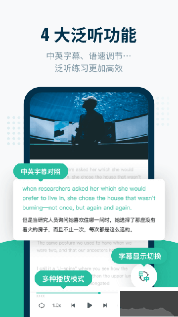 扇貝聽力口語